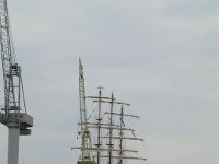 Hanse sail 2010.SANY3421
